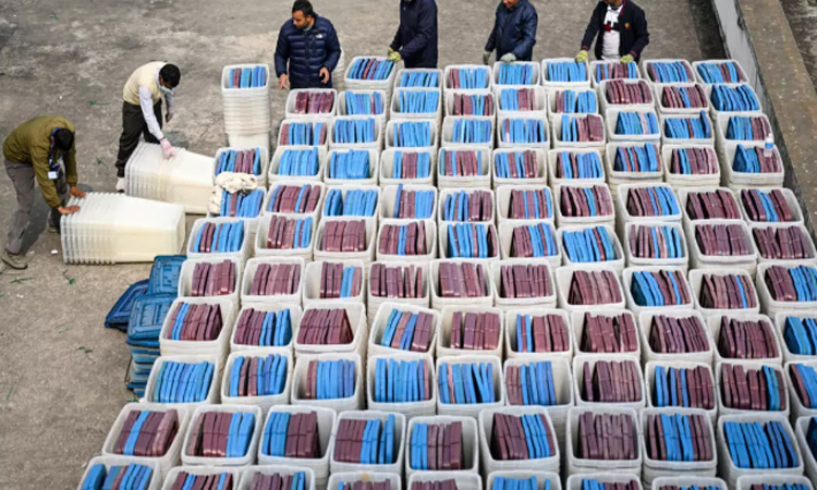 গণঅভ্যুত্থানের পর প্রথম ভোট : সন্ধিক্ষণে দাঁড়িয়ে নেপালের রাজনীতি