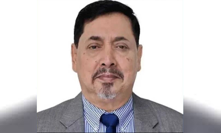 ২ দফায় সংসদ সদস্যদের শপথ হবে: নাসিমুল গনি