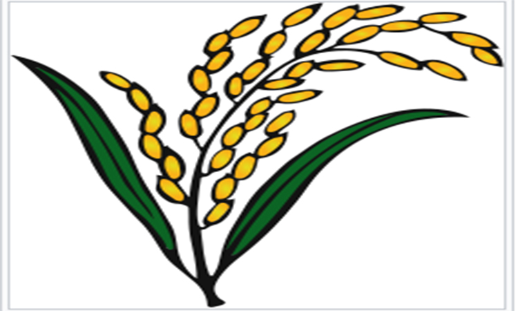 তিরিশ বছর পর সিলেট-৬ আসনে জয় পেল বিএনপি