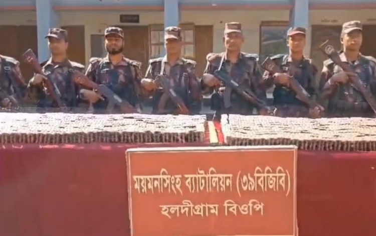 শেরপুর সীমান্ত থেকে ভারতীয় ব্যথানাশক ট্যাবলেট জব্দ