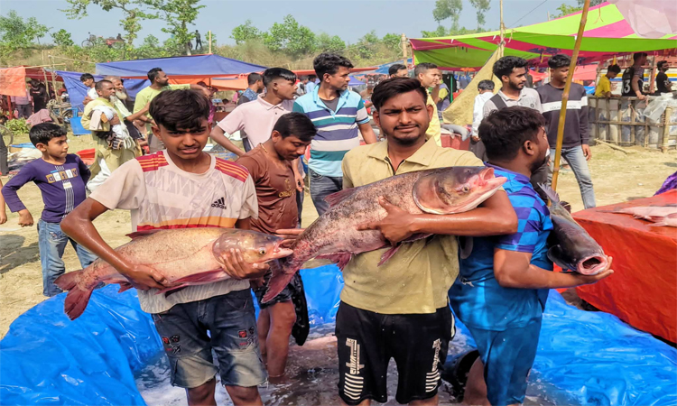 বগুড়ায় ‘তিনশো’ বছরের পুরোনো খাউড়া মেলা অনুষ্ঠিত