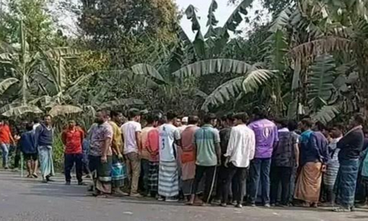 নরসিংদীতে গাড়ি চাপায় একজন নিহত