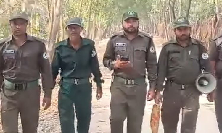 সুন্দরবনে বিড়ি সিগারেটসহ দাহ্য পদার্থ নিয়ে প্রবেশে নিষেধাজ্ঞা