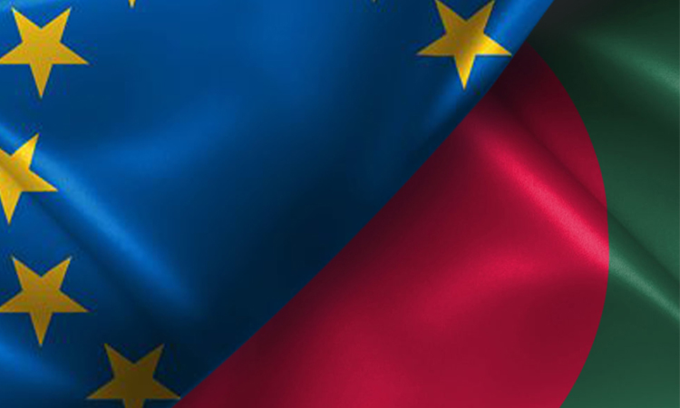 মানবাধিকার কমিশনের চেয়ারপার্সনের সঙ্গে ইইউ নির্বাচন পর্যবেক্ষণ মিশনের মানবাধিকার বিশ্লেষকের সাক্ষাৎ