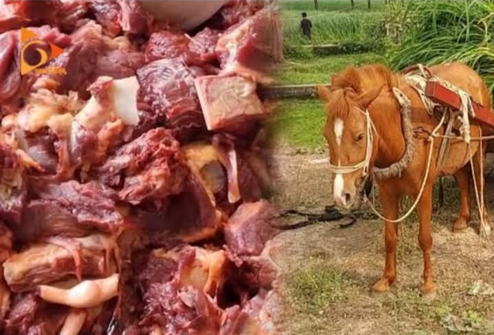 টাঙ্গাইলে ঘোড়ার মাংস প্রস্তুতের সময় চারজন আটক