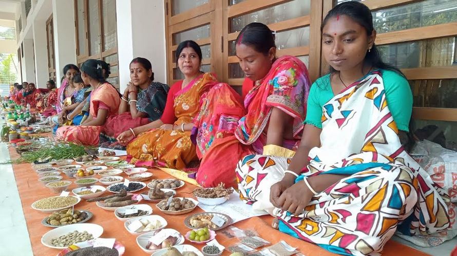 গ্রামীণ অর্থনীতি শক্তিশালী করতে স্থানীয় বীজ সংরক্ষণে গুরুত্বারোপ