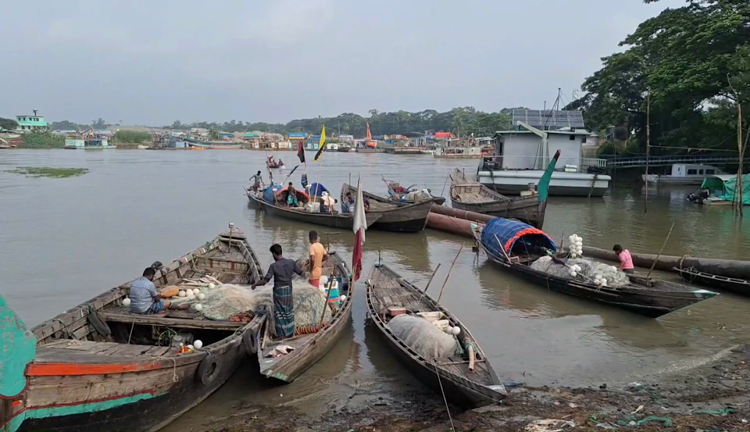 ইলিশ উৎপাদন বাড়াতে আগামী দুই মাস নদীতে মাছ ধরা নিষিদ্ধ