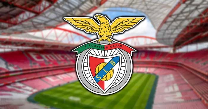 রিয়ালের বিপক্ষে বর্ণবাদী আচরণে পাঁচ সমর্থককে নিষিদ্ধ করল বেনফিকা