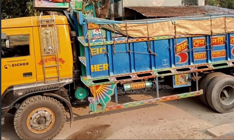 সাতক্ষীরার নিষিদ্ধ আফ্রিকান মাগুর মাছসহ ব্যবসায়ী আটক 