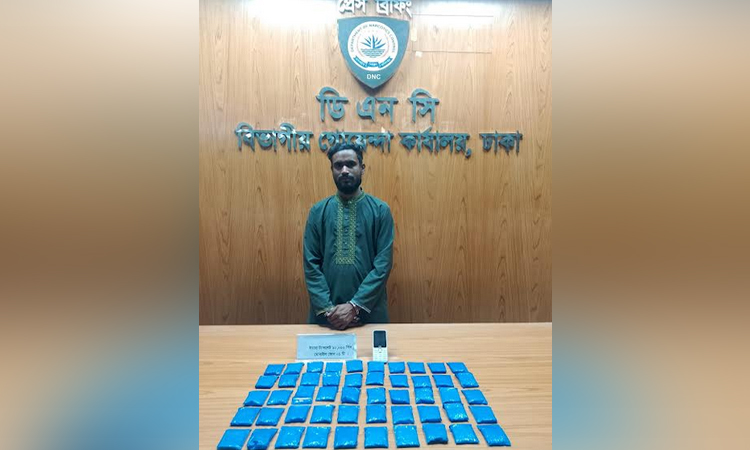 ডিএনসির অভিযানে ইয়াবাসহ মাদক কারবারি গ্রেফতার