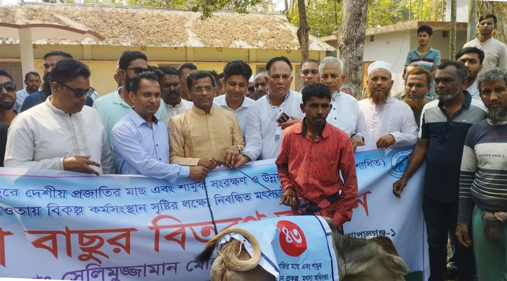 গোপালগঞ্জে ৬০ জেলে পরিবারের মাঝে বকনা বাছুর বিতরণ