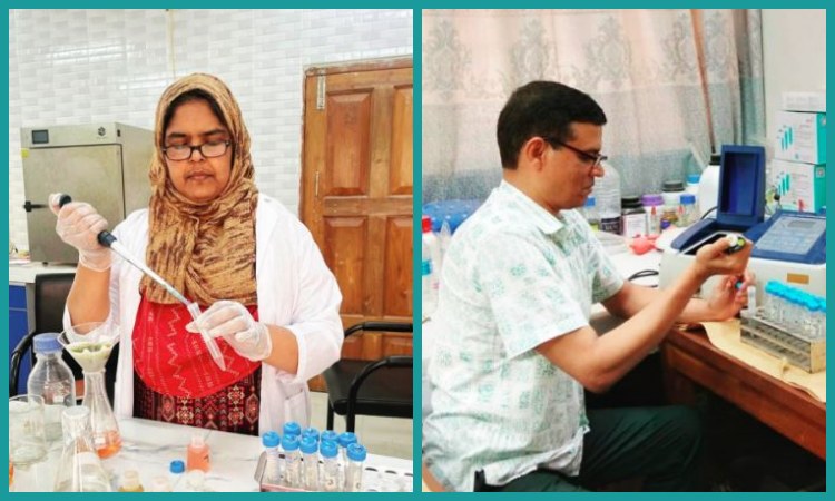 গবেষণায় উঠে এলো ঘরে ফল-সবজি সংরক্ষণের ভুলে নষ্ট হচ্ছে পুষ্টিগুণ