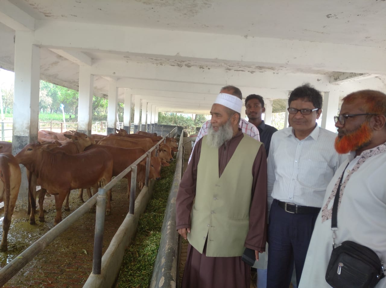 রাজশাহীতে রাজাবাড়ীহাট দুগ্ধ ও গবাদি উন্নয়ন খামার পরিদর্শনে এমপি মুজিবুর