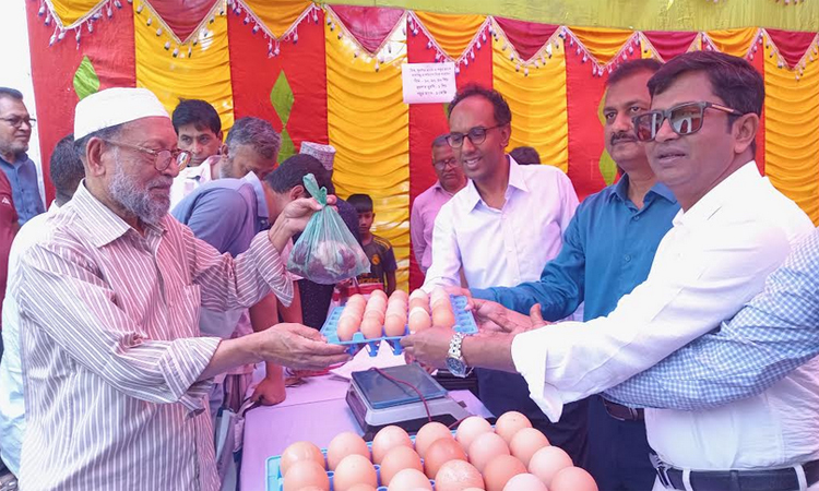 নড়াইলে সুলভ মূল্যে মাংস ও ডিম বিক্রি শুরু