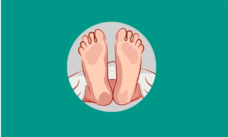 নওগাঁর পোরশায় সাপের কামড়ে মাদ্রাসা ছাত্রের মৃত্যু