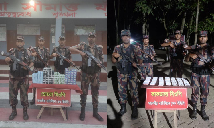 সাতক্ষীরা সীমান্তে ভারতীয় মালামাল জব্দ 