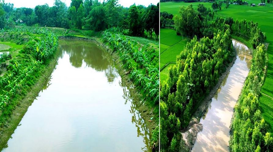 রংপুর অঞ্চলে ফসলের ফলন বৃদ্ধি, বাস্তুতন্ত্র পুনরুজ্জীবনে অবদান রাখছে ইআইআর প্রকল্প