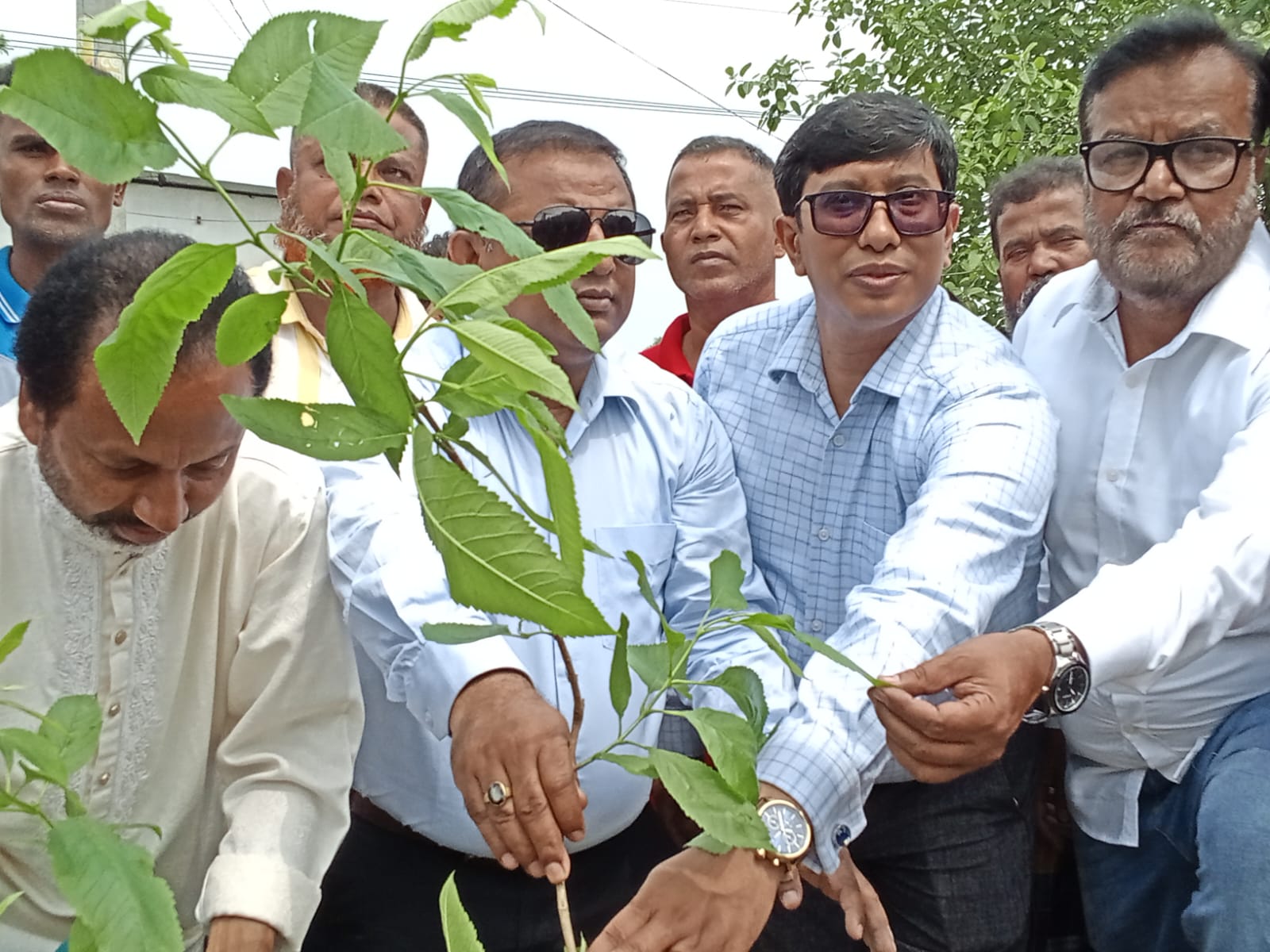 সিরাজগঞ্জে বৃক্ষরোপণ কর্মসূচীর উদ্বোধন