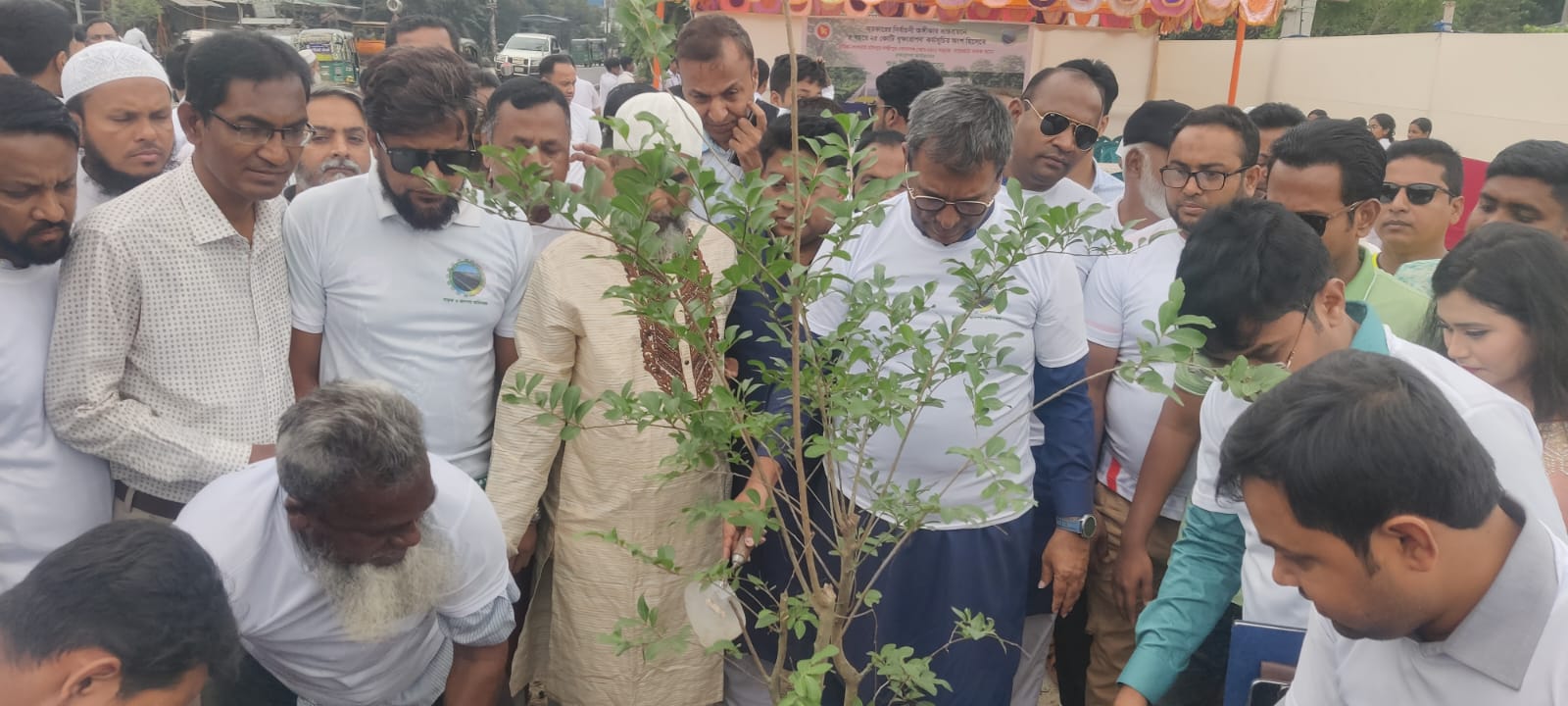 চাঁদপুরে ২ হাজার বৃক্ষরোপণ কর্মসূচির উদ্বোধন