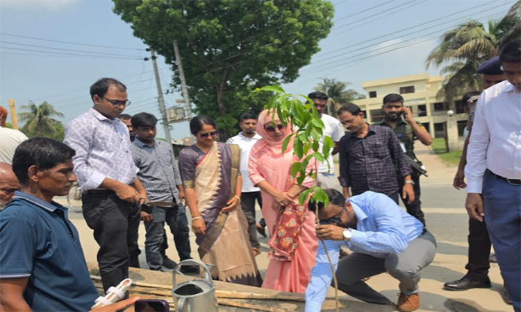 রাজবাড়ীতে বৃক্ষরোপণ কর্মসূচি শুরু