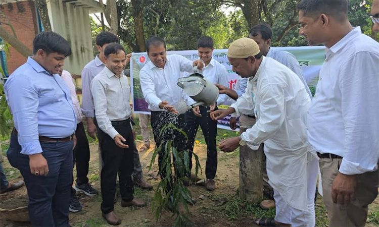 দিনাজপুরে বৃক্ষরোপণ কর্মসূচির উদ্বোধন