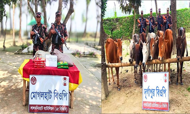 লালমনিরহাট সীমান্তে ভারতীয় মালামাল জব্দ