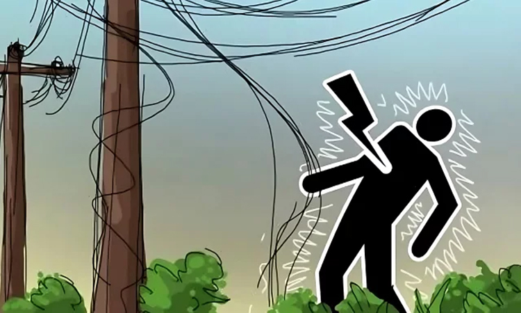 শেরপুরে বিদ্যুৎস্পৃষ্ট হয়ে একব্যক্তির মৃত্যু