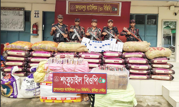 কুমিল্লায় ২ কোটি টাকার ভারতীয় মালামাল জব্দ