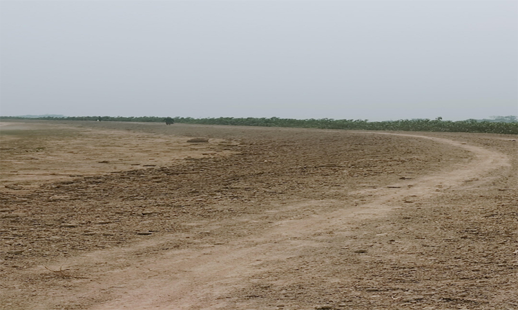বৈজ্ঞানিক পদ্ধতিতে ফসল রক্ষা বাঁধ নির্মাণের দাবি কৃষক সমিতির