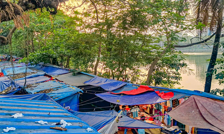 ছবি: বাসস
