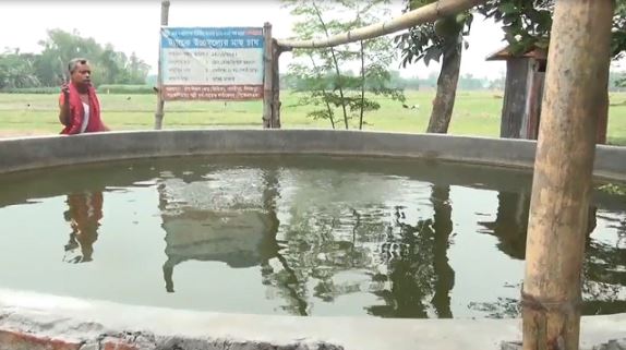 দিনাজপুরে ট্যাংকির মধ্যে মাছ চাষে সফলতা 