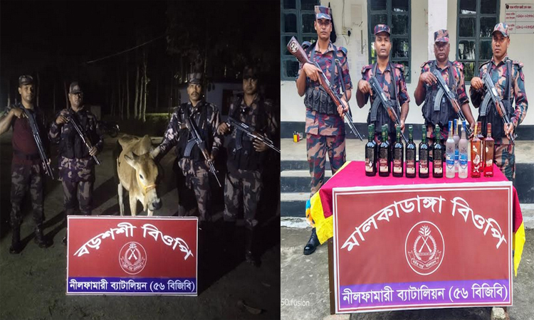 পঞ্চগড় সীমান্তে ভারতীয় মালামাল জব্দ