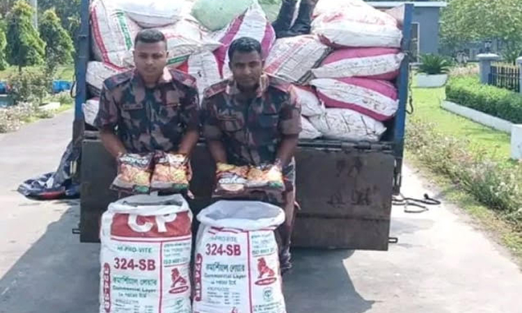 হবিগঞ্জে ৭০ লাখ টাকার ভারতীয় মালামাল জব্দ 