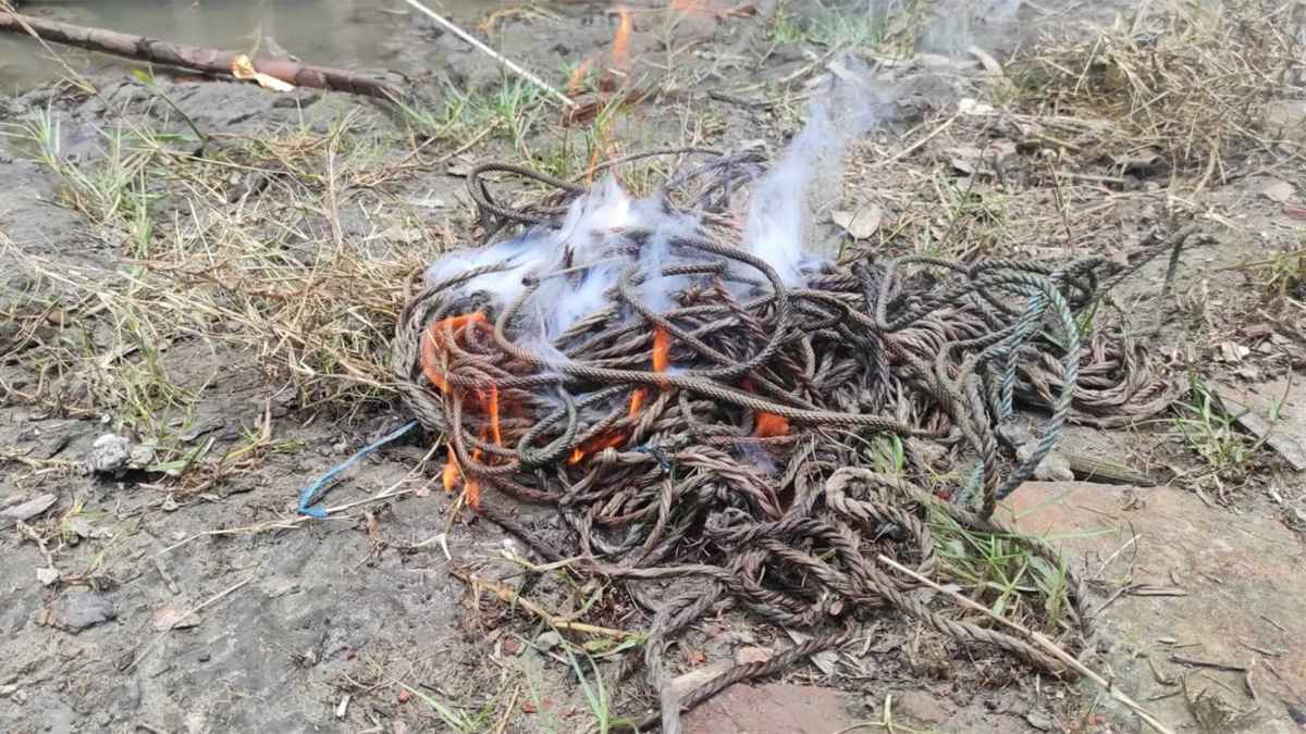 সাতক্ষীরায় সুন্দরবনে হরিণ শিকারের ফাঁদ অপসারণ