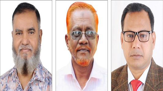 নোয়াখালী সাংবাদিক ইউনিয়নের সভাপতি আপেল, সম্পাদক বাবু