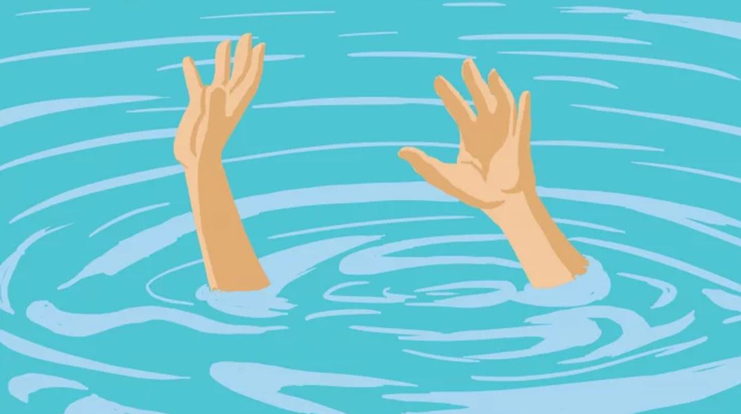 নাটোরে পানিতে ডুবে দুই সহোদরের মৃত্যু