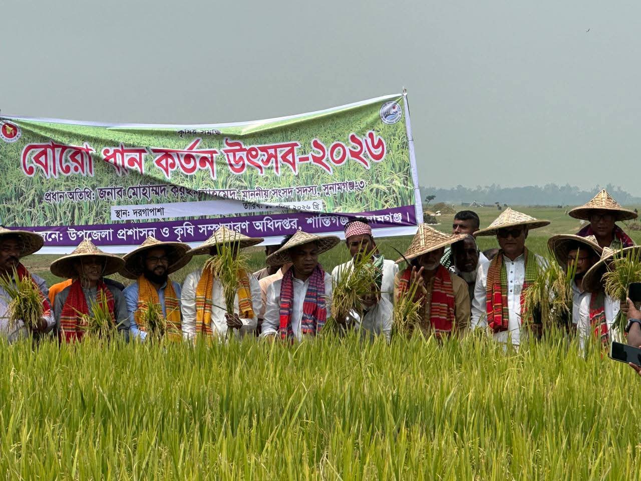 সুনামগঞ্জে বোরো ধান কর্তন উৎসব 