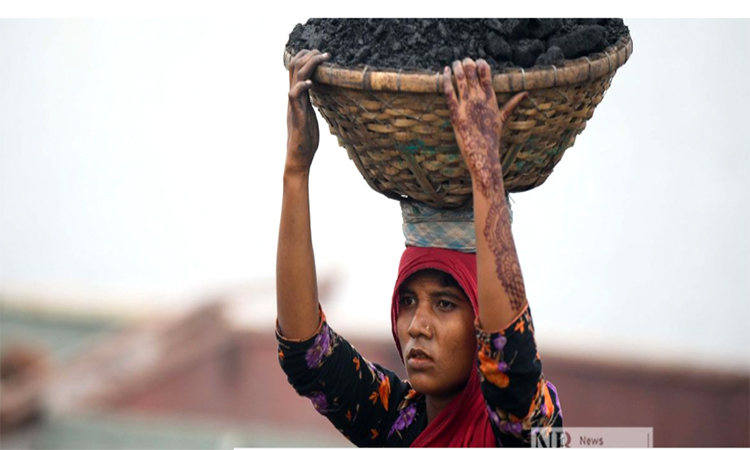 সবজি বিক্রির টাকাতেই জীবনের চাকা ঘোরে তাদের