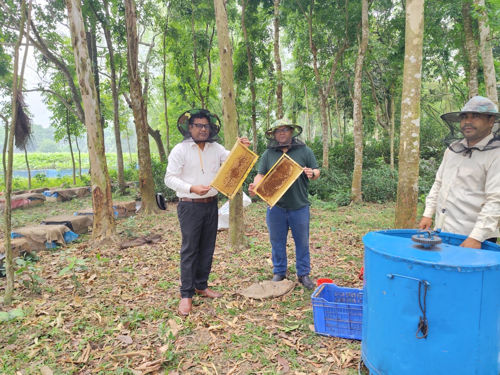 ঠাকুরগাঁওয়ে বিসিকের উদ্যোগে মিষ্টি কুমড়ার মাঠে মৌচাষ