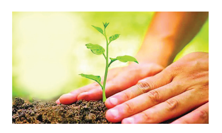 পাঁচ বছরে ২৫ কোটি বৃক্ষরোপণ কর্মসূচিতে স্বেচ্ছাসেবী অংশীদারিত্বের আহ্বান