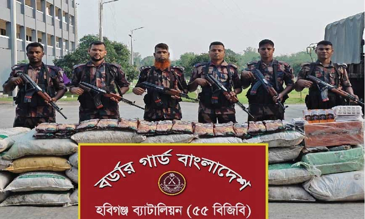 হবিগঞ্জের মাধবপুরে অভিযান চালিয়ে বিপুল পরিমাণ ভারতীয় ওষুধ জব্দ করেছে বিজিবি
