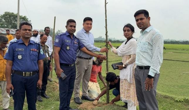 দিনাজপুরে সড়কের পাশে সজনে গাছের কাটিং রোপণ 