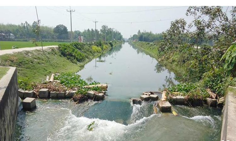 তিস্তা প্রকল্পে ৬০ কোটি টাকার ডিজেল সাশ্রয়, সুফল পাচ্ছেন ১০ লাখ কৃষক