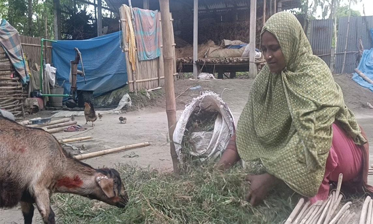 ফ্যামিলি কার্ড বদলে দিচ্ছে প্রান্তিক নারীর জীবন