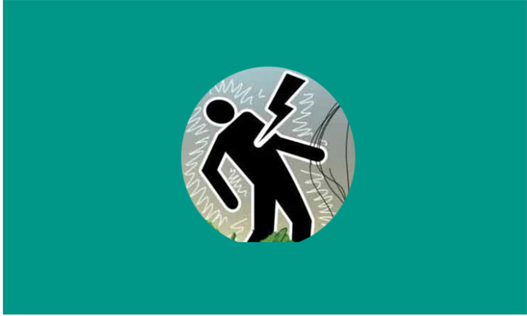 সুনামগঞ্জে বজ্রপাতে ২ জনের মৃত্যু 