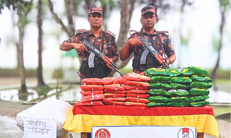 সীমান্তে বিজিবি’র অভিযানে ভারতীয় মাদক ও পণ্য জব্দ