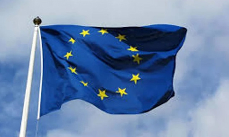 ত্রয়োদশ জাতীয় সংসদ নির্বাচন নিয়ে ইইউ পর্যবেক্ষকদের চূড়ান্ত প্রতিবেদন প্রকাশ