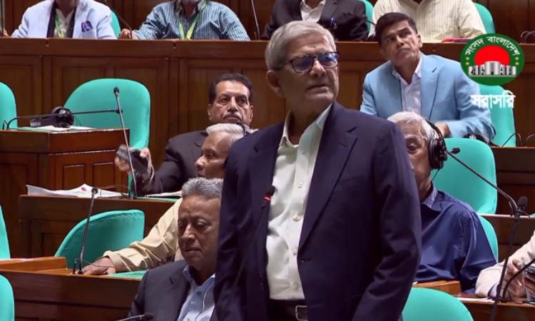 সংবিধান আমাদের আবেগ ও লাখ শহীদের রক্তের সঙ্গে জড়িত : মির্জা ফখরুল