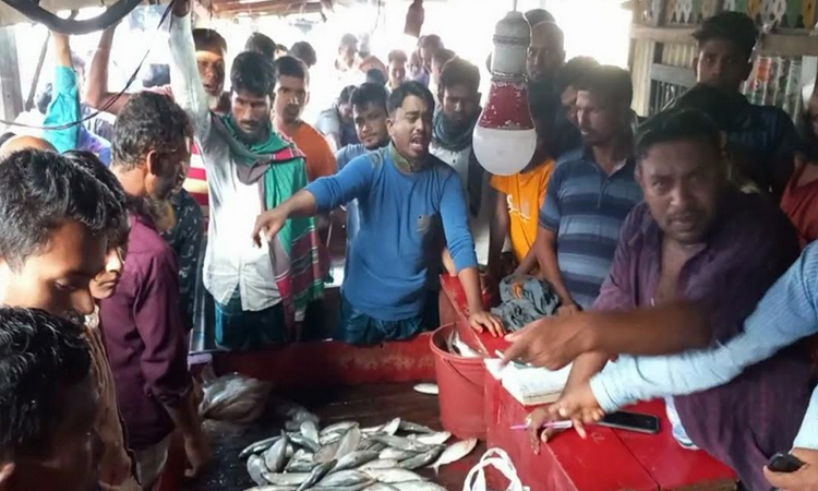 নিষেধাজ্ঞার পর লক্ষ্মীপুরে মেঘনায় মাছ ধরা শুরু