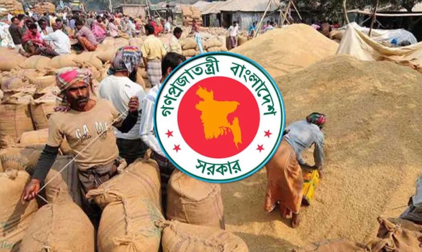 হাওর অঞ্চলের ছয় জেলায় ৩ মে থেকে ধান ও চাল সংগ্রহ শুরু